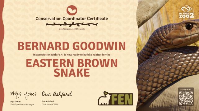 Eastern Brown Snake