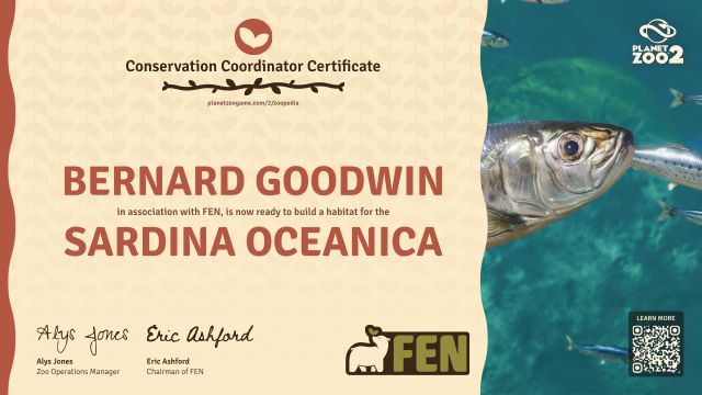 Sardina oceanica