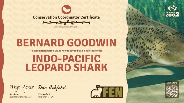 Indo-Pacific Leopard Shark