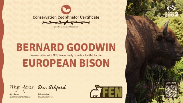 European Bison