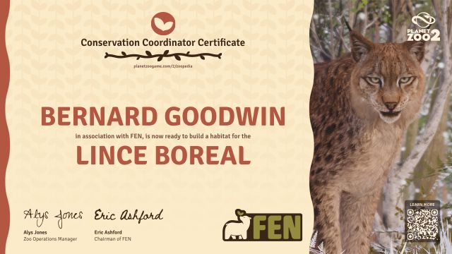 Lince boreal