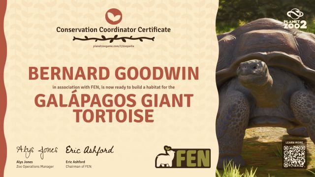 Galápagos Giant Tortoise