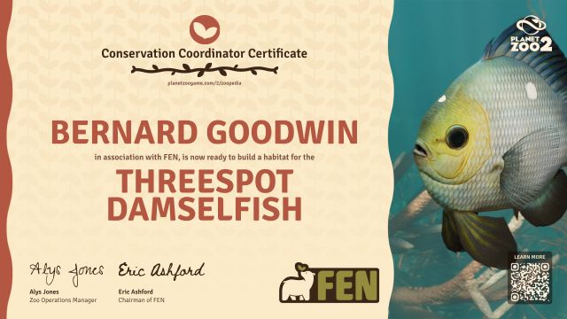 Threespot Damselfish