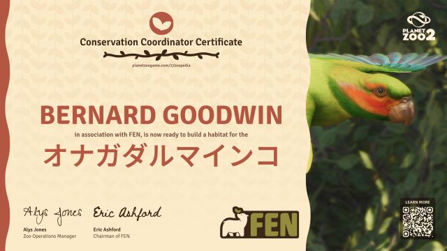 オナガダルマインコ
