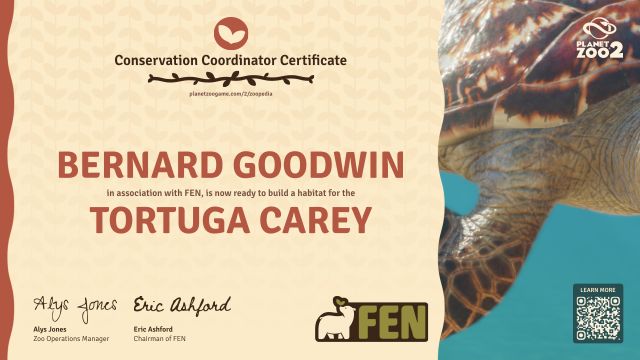 Tortuga carey