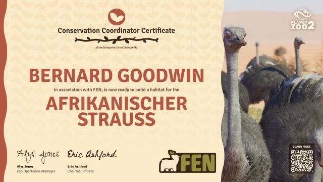 Afrikanischer Strauß