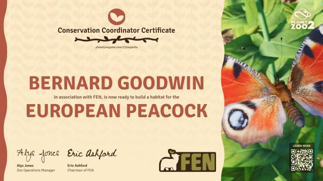 European Peacock