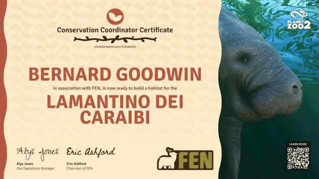 Lamantino dei Caraibi