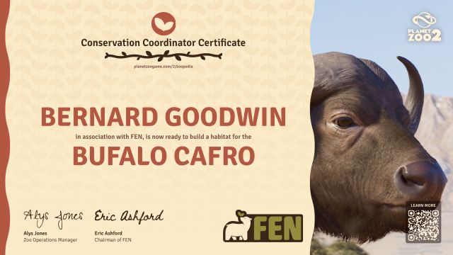 Bufalo cafro