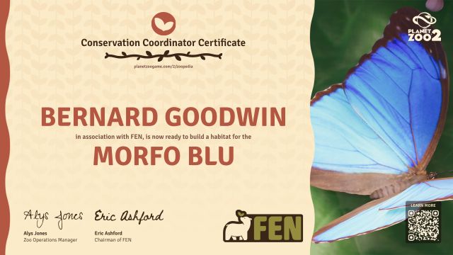 Morfo blu