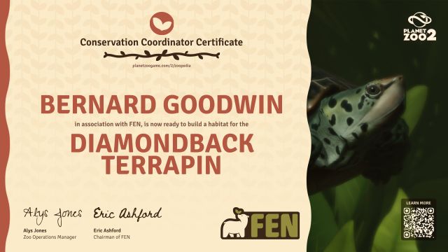 Diamondback Terrapin