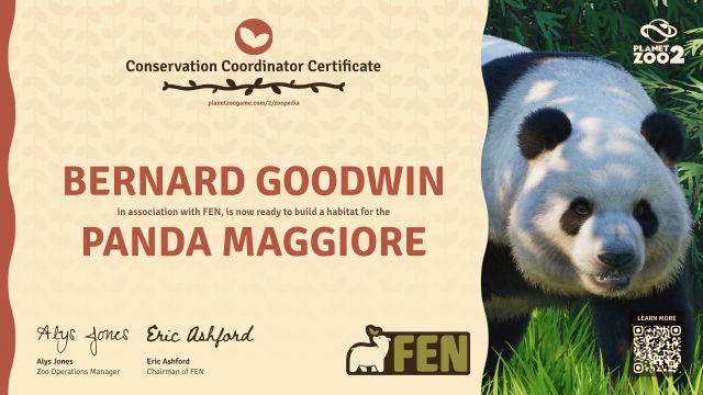 Panda maggiore