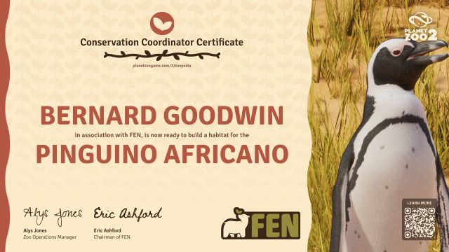 Pinguino africano