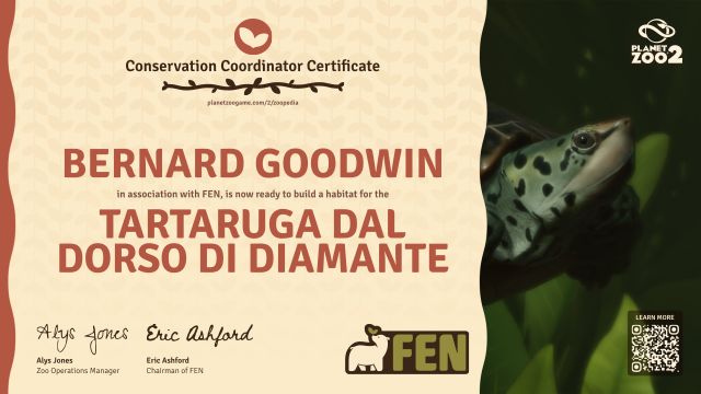 Tartaruga dal dorso di diamante