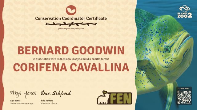 Corifena cavallina