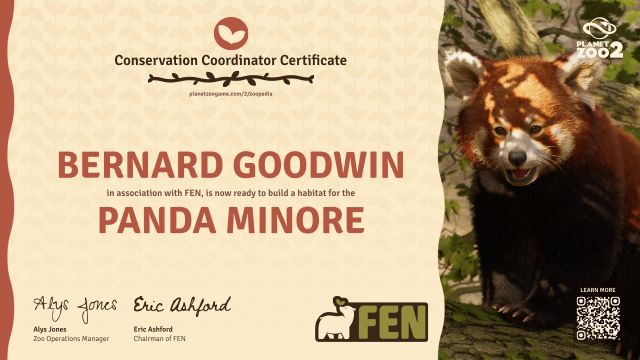 Panda minore