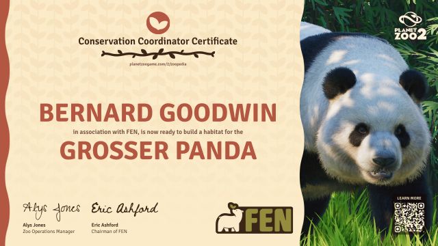 Großer Panda