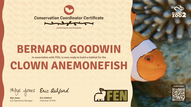 Clown Anemonefish