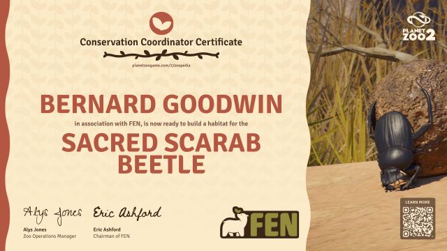 Sacred Scarab Beetle