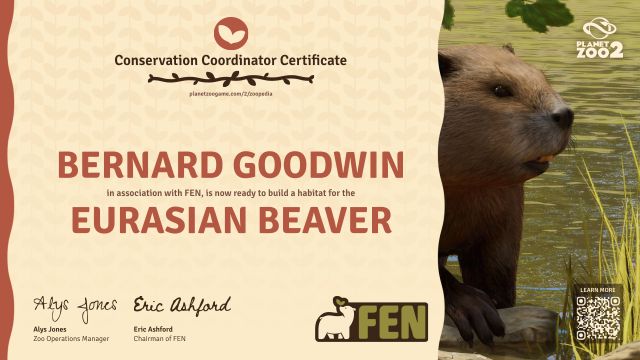Eurasian Beaver