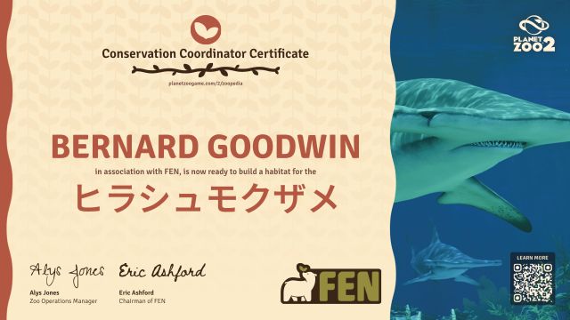 ヒラシュモクザメ